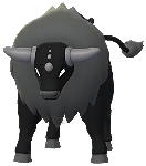 Tauros de Paldea - Variante Combatiente Shiny en Pokmon GO