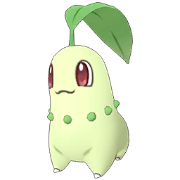 Chikorita