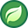 planta