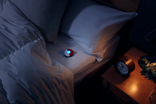 Pokmon Sleep