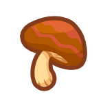 Seta Sabrosa