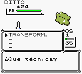 Shiny