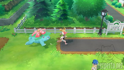Pokmon acompaantes