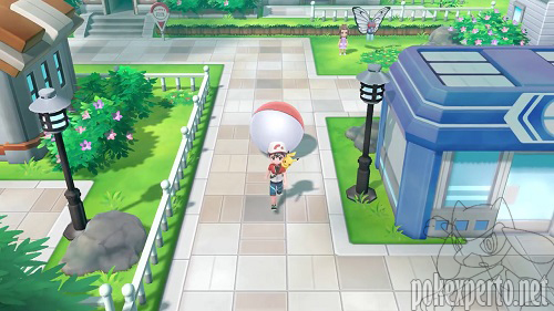 Pokmon acompaantes