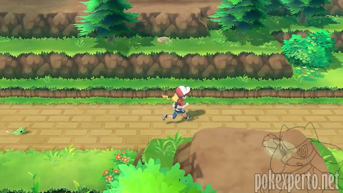 Pokmon acompaantes