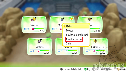 Personalizacin