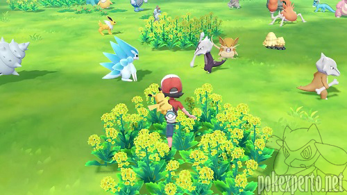 Alola