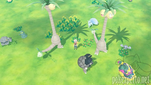 Alola