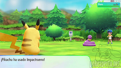 Captura