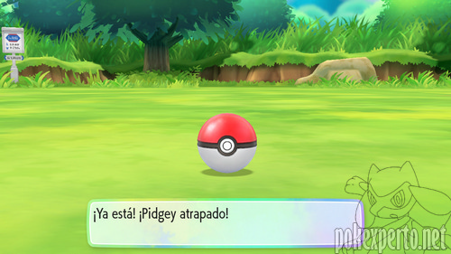 Experiencia