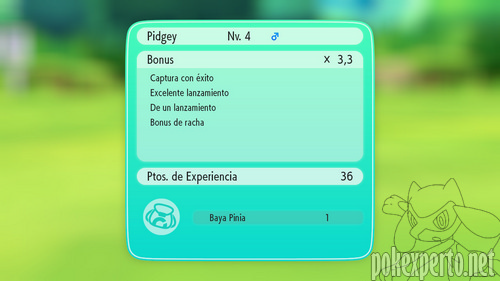 Experiencia