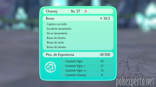 Experiencia