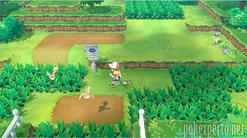 Pokmon salvajes