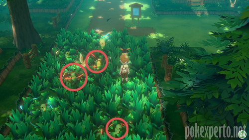 Pokmon salvajes