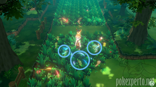 Pokmon salvajes