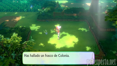 Pokmon salvajes