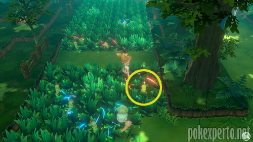 Pokmon salvajes
