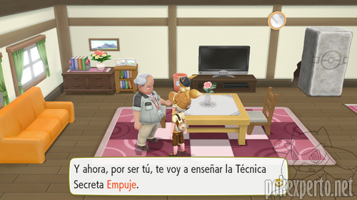 Tcnicas Secretas
