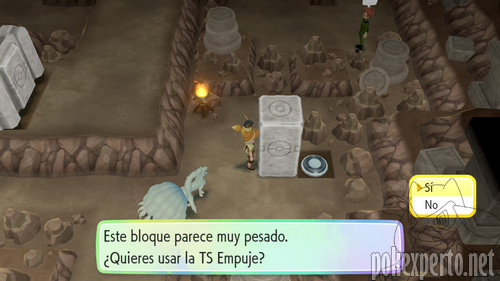 Imagen de la TS