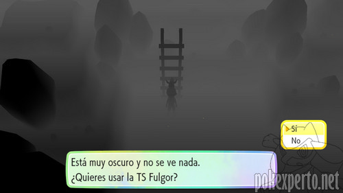 Imagen de la TS