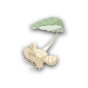 Objeto