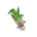 Objeto
