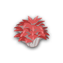 Objeto