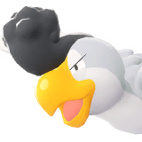 Squawkabilly Plumaje Blanco