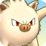 Mankey