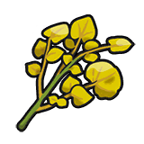 Objeto