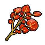 Objeto