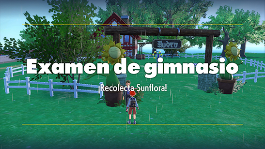 Gimnasio