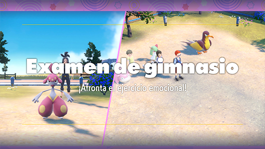 Gimnasio