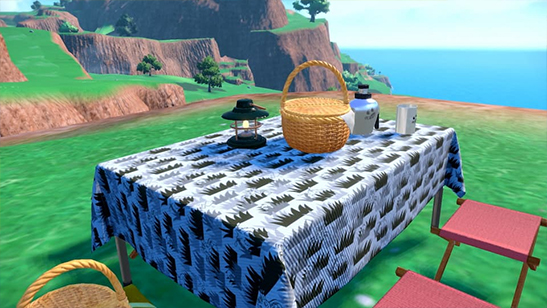 Picnic