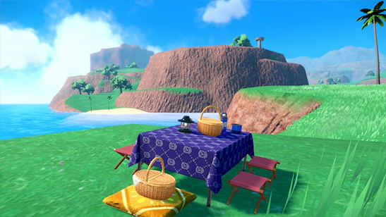 Picnic