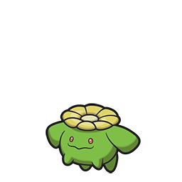 Skiploom