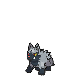 Poochyena