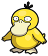 Psyduck
