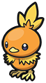 Torchic