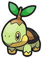 Turtwig