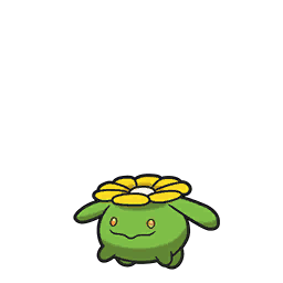 Skiploom