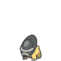 Shieldon
