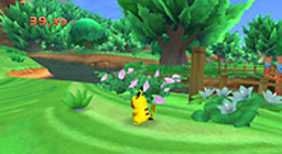 PokPark Wii