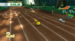 PokPark Wii