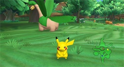 PokPark Wii