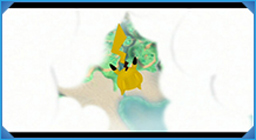 PokPark Wii
