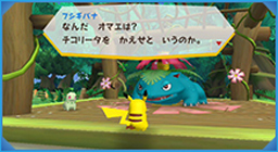 PokPark Wii