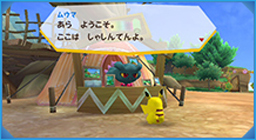 PokPark Wii